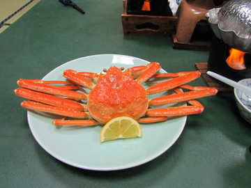 IMG_3472.JPG