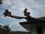 s-IMG_0757.jpg