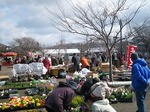 s-IMG_0807.jpg