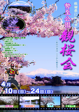 sakura2016.jpg